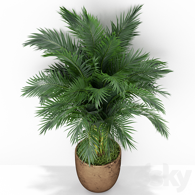 Plants collection 386 3DSMax File - thumbnail 3