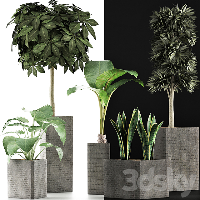 Plants Collection 39 3DS Max Model - thumbnail 3