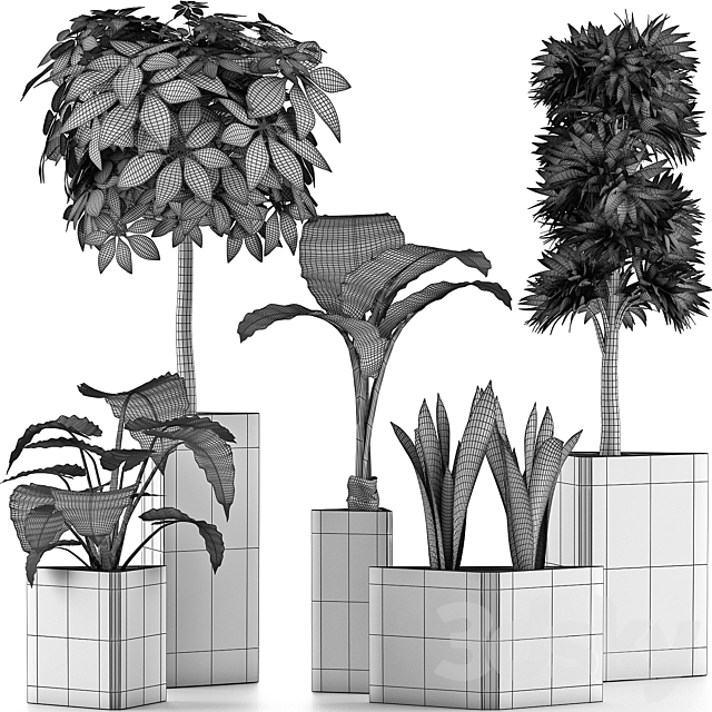 Plants Collection 39 3DS Max Model - thumbnail 5