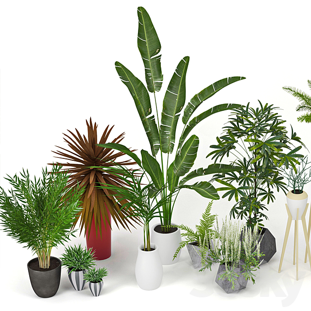 Plants Collection 3DSMax File - thumbnail 2