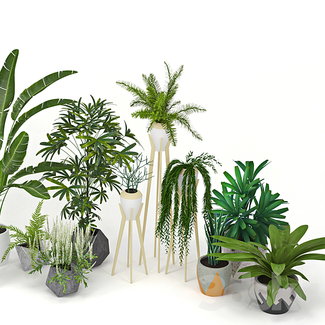 Plants Collection 3DSMax File - thumbnail 3