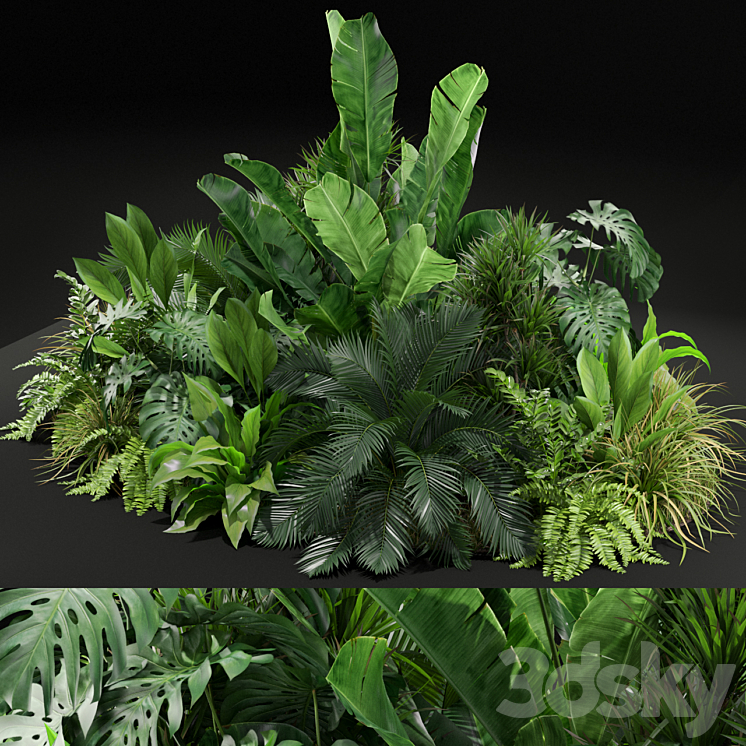 Plants collection 445 3DS Max - thumbnail 1