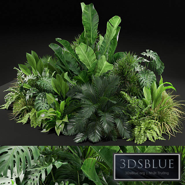 Plants collection 445 3DS Max - thumbnail 3