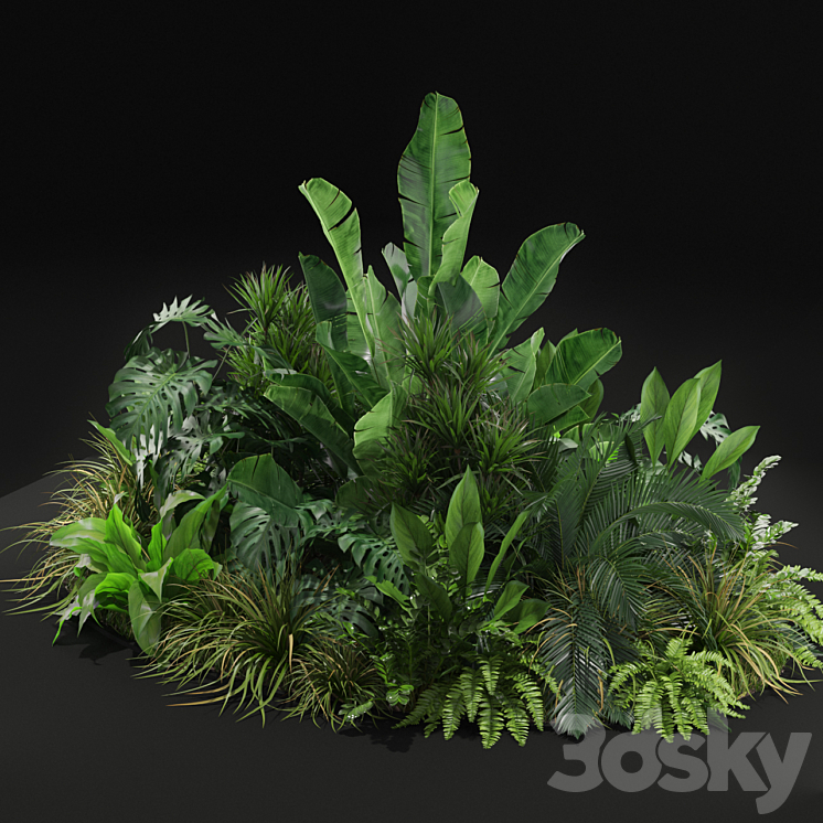 Plants collection 445 3DS Max - thumbnail 2