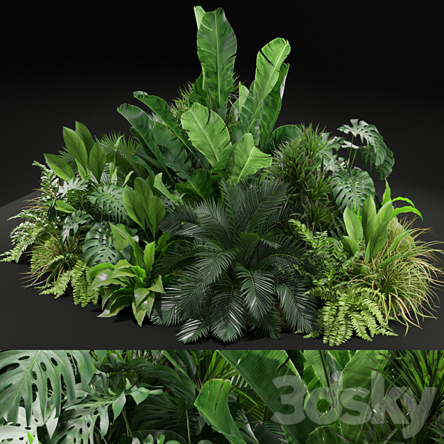 Plants collection 445 3DSMax File - thumbnail 1