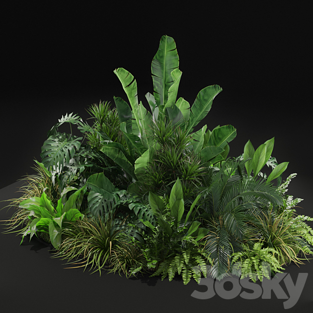 Plants collection 445 3DSMax File - thumbnail 2