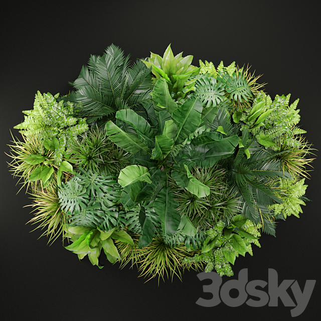 Plants collection 445 3DSMax File - thumbnail 3