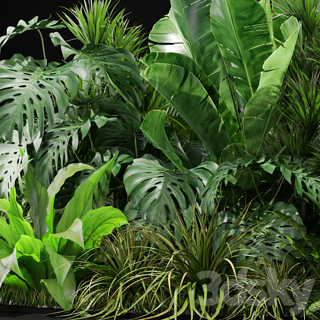 Plants collection 445 3DSMax File - thumbnail 4