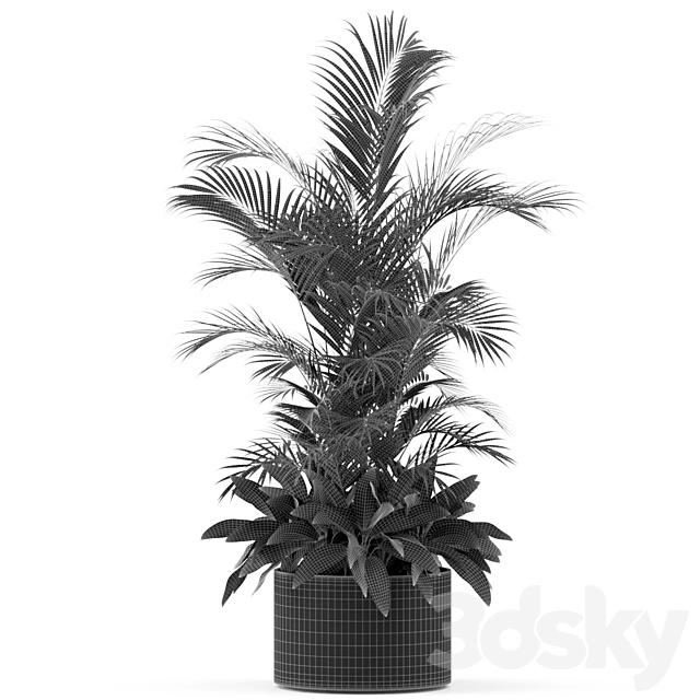 Plants collection 459 3DS Max Model - thumbnail 2