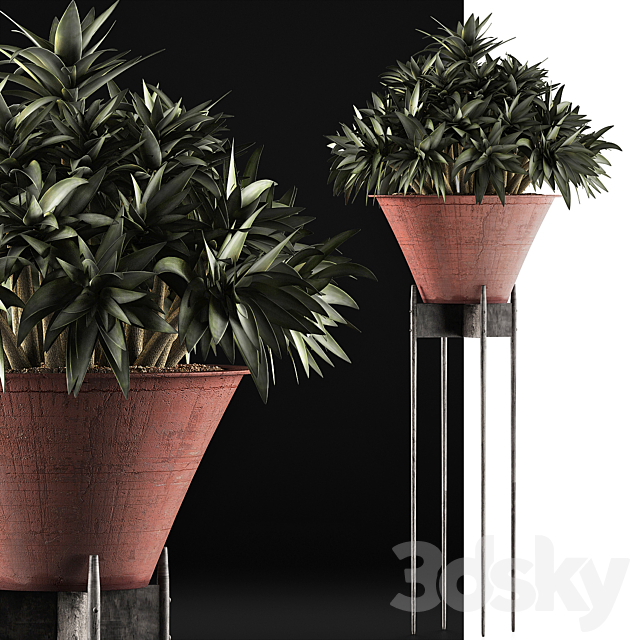 Plants Collection 49 3DS Max Model - thumbnail 3