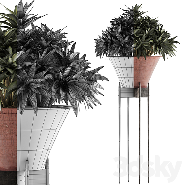 Plants Collection 49 3DS Max Model - thumbnail 4