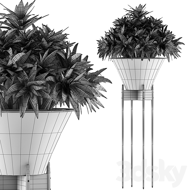 Plants Collection 49 3DS Max Model - thumbnail 5