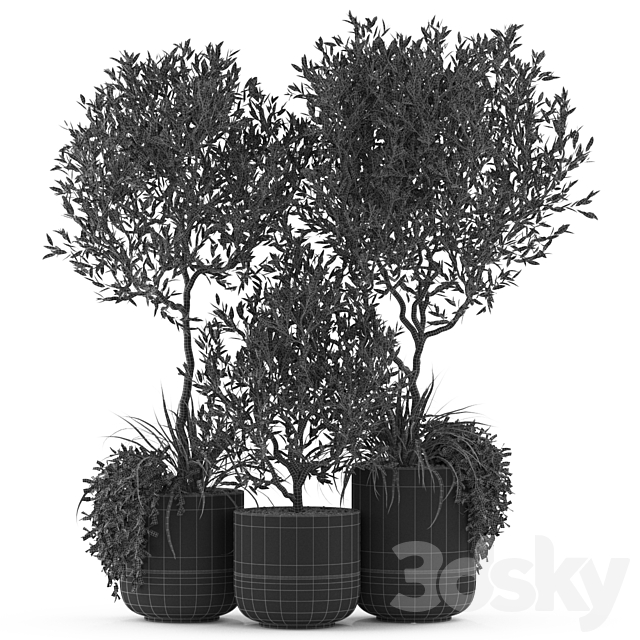 Plants collection 494 3DSMax File - thumbnail 3