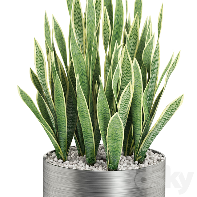 Plants collection 506 3DSMax File - thumbnail 2