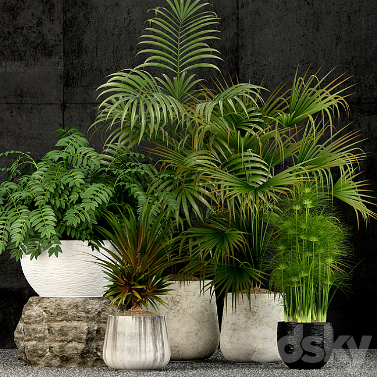 Plants collection 53 3DS Max - thumbnail 1