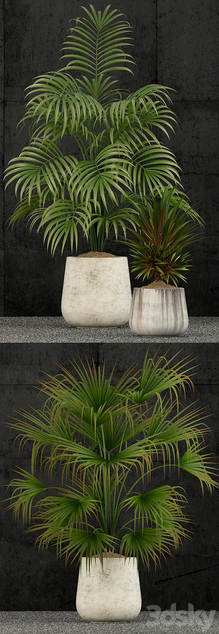 Plants collection 53 3DS Max - thumbnail 2