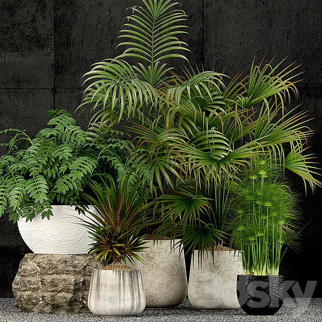 Plants collection 53 3DSMax File - thumbnail 1