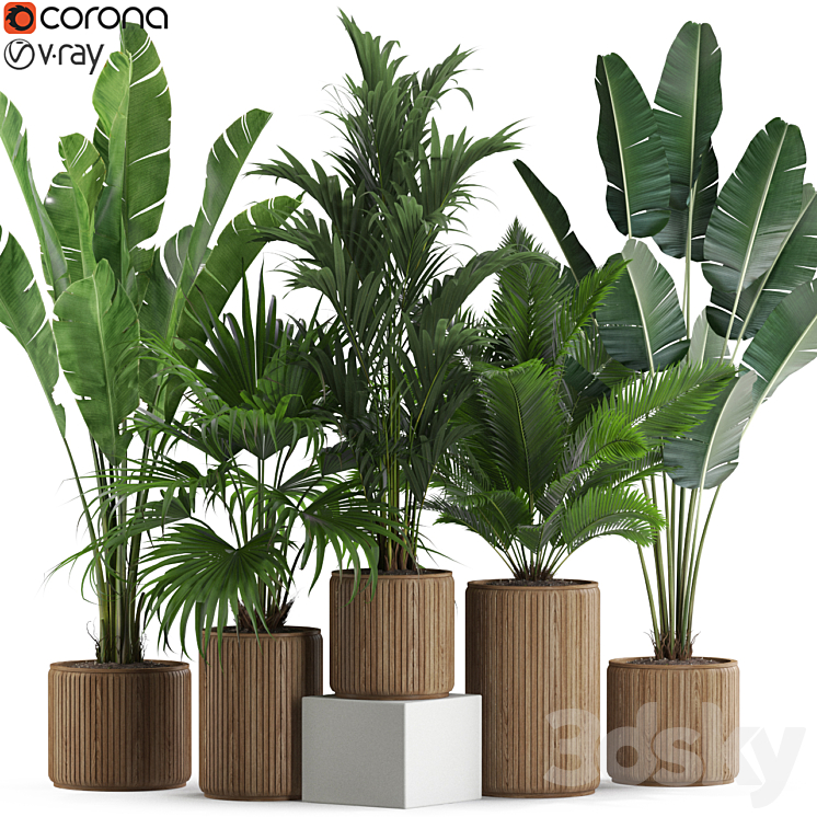 Plants collection 539 3DS Max Model - thumbnail 1