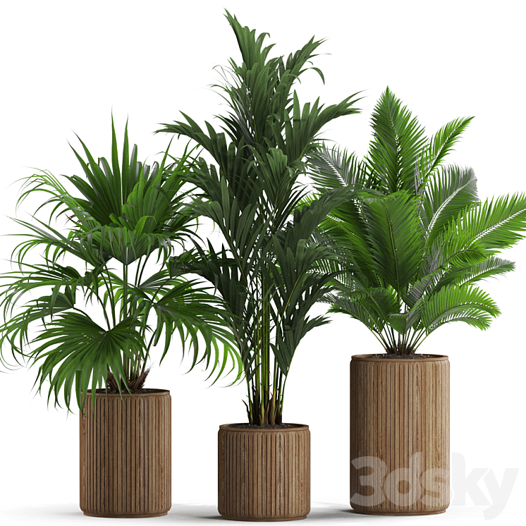 Plants collection 539 3DS Max Model - thumbnail 2