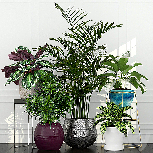 Plants collection 54 3DSMax File - thumbnail 1