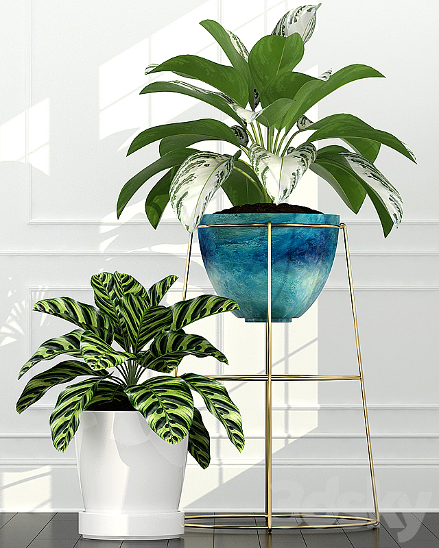 Plants collection 54 3DSMax File - thumbnail 3