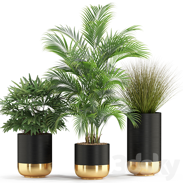 Plants collection 540 3DS Max Model - thumbnail 2