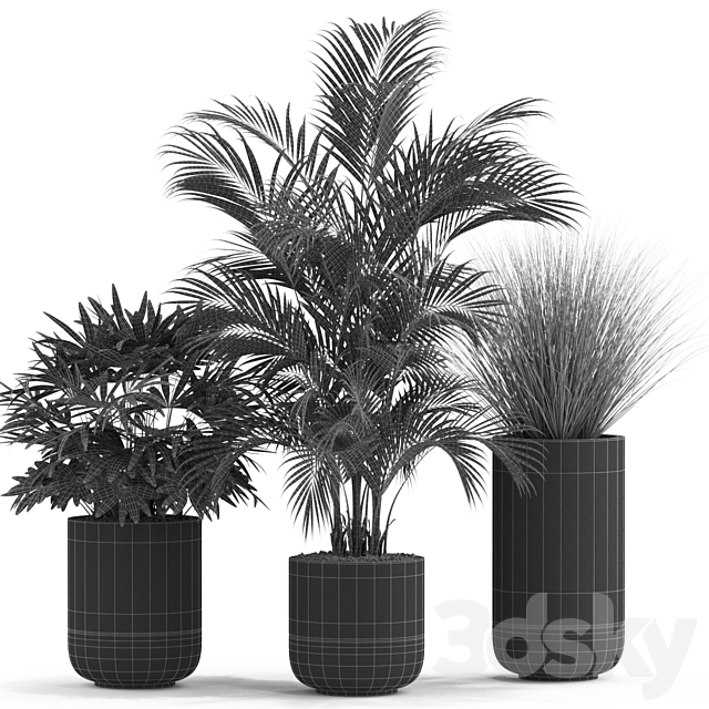 Plants collection 540 3DS Max Model - thumbnail 4