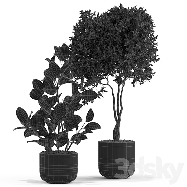 Plants collection 540 3DS Max Model - thumbnail 5