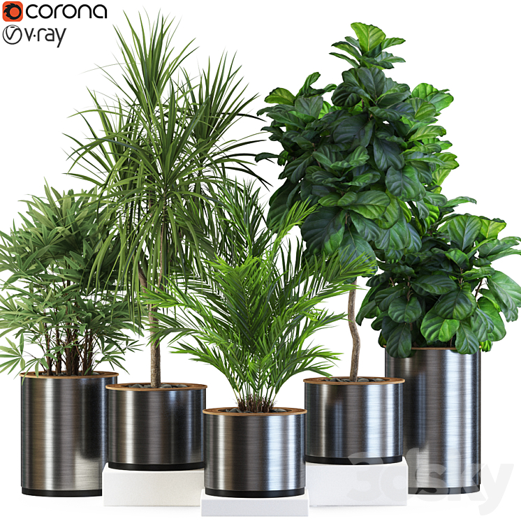 Plants collection 550 3DS Max - thumbnail 1