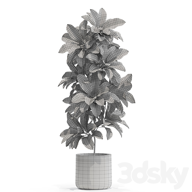 Plants collection 557 3DSMax File - thumbnail 3