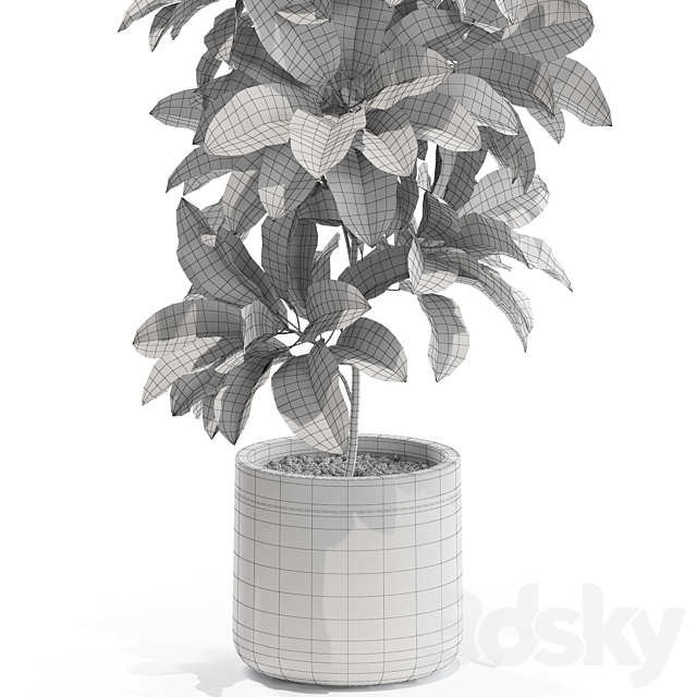 Plants collection 557 3DSMax File - thumbnail 4