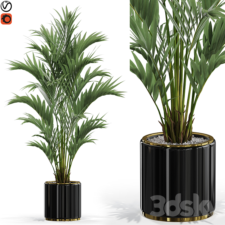 Plants collection 560 3DS Max Model - thumbnail 1