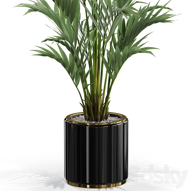 Plants collection 560 3DS Max Model - thumbnail 2