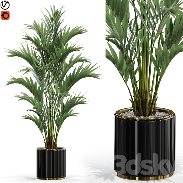 Plants collection 560 3DSMax File - thumbnail 1