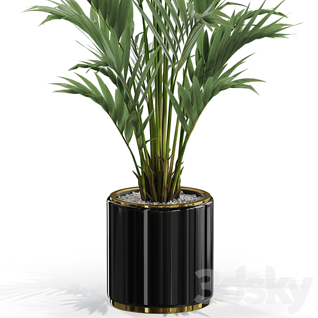 Plants collection 560 3DSMax File - thumbnail 2