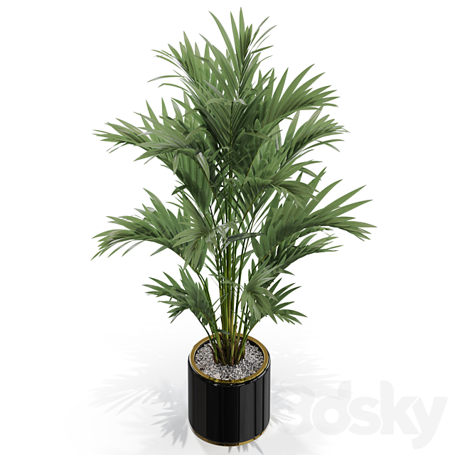 Plants collection 560 3DSMax File - thumbnail 3