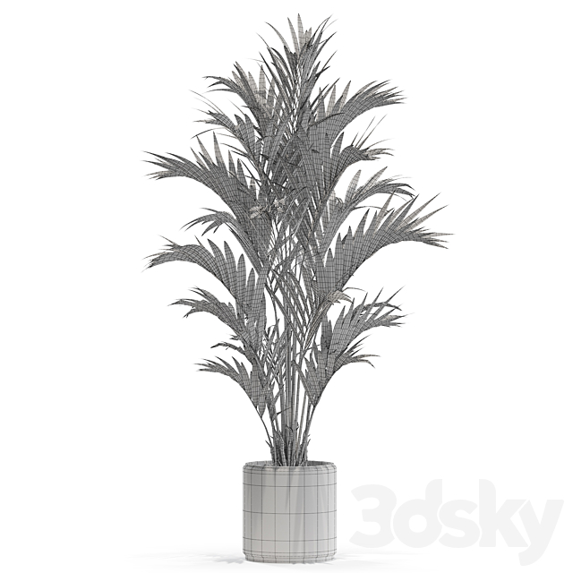 Plants collection 560 3DSMax File - thumbnail 4