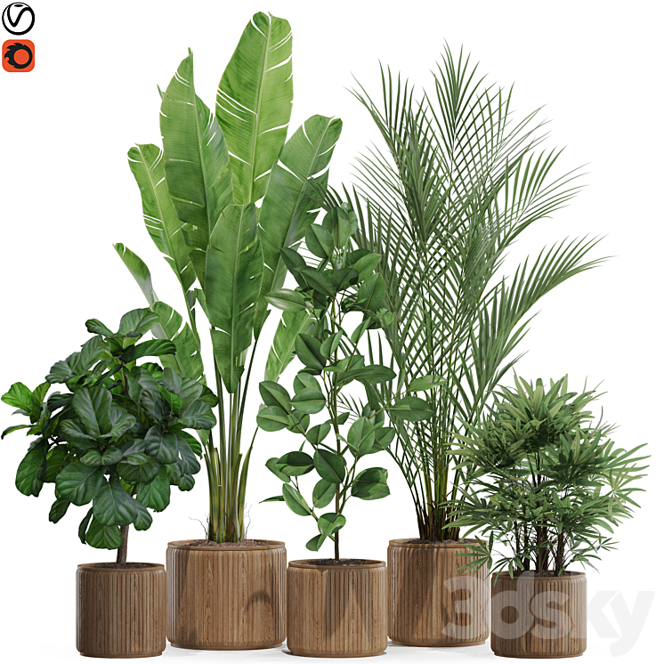 Plants collection 563 3DS Max Model - thumbnail 3