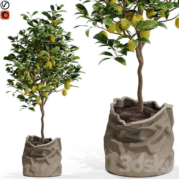 Plants collection 564 3DS Max Model - thumbnail 1