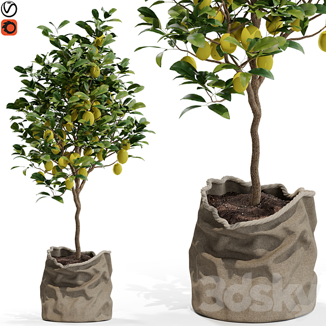 Plants collection 564 3DSMax File - thumbnail 1