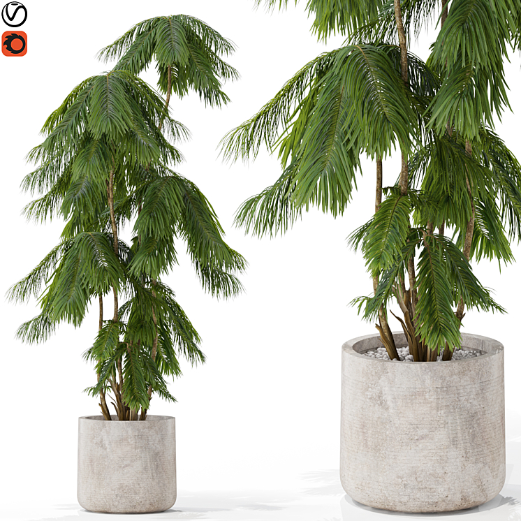 Plants collection 573 3DS Max Model - thumbnail 3