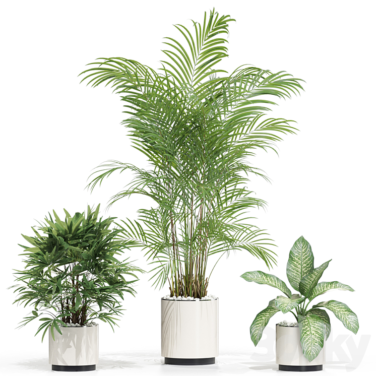 Plants collection 600 3DS Max Model - thumbnail 2