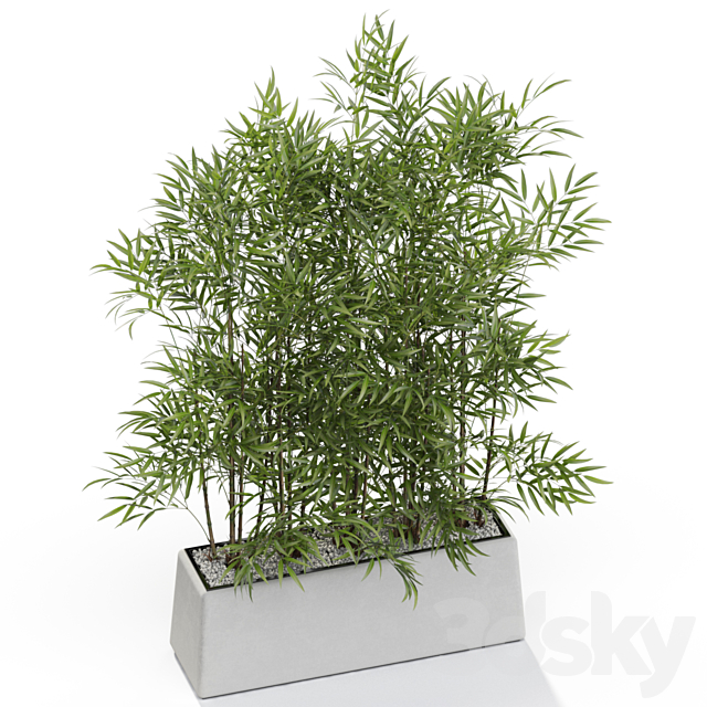 Plants collection 615 3DSMax File - thumbnail 4