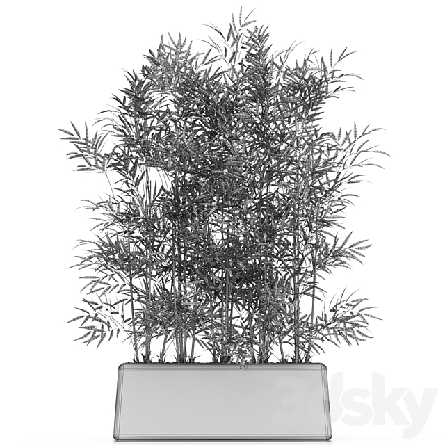 Plants collection 615 3DSMax File - thumbnail 5