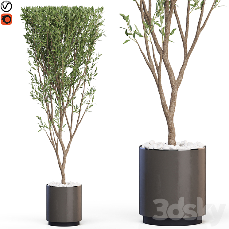 Plants collection 624 3DS Max Model - thumbnail 1