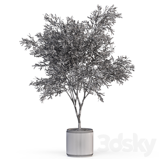 Plants collection 625 3DS Max Model - thumbnail 4