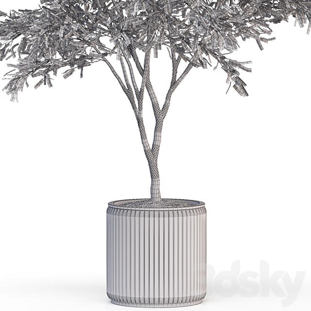 Plants collection 625 3DS Max Model - thumbnail 5