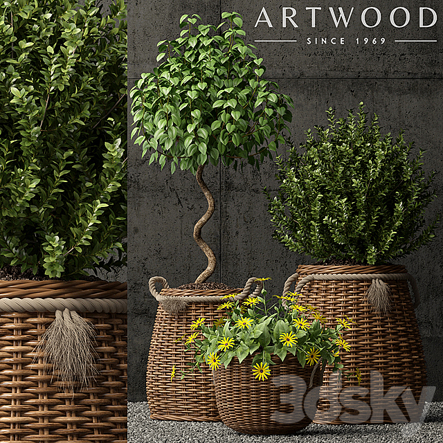 Plants collection 65 3DSMax File - thumbnail 1