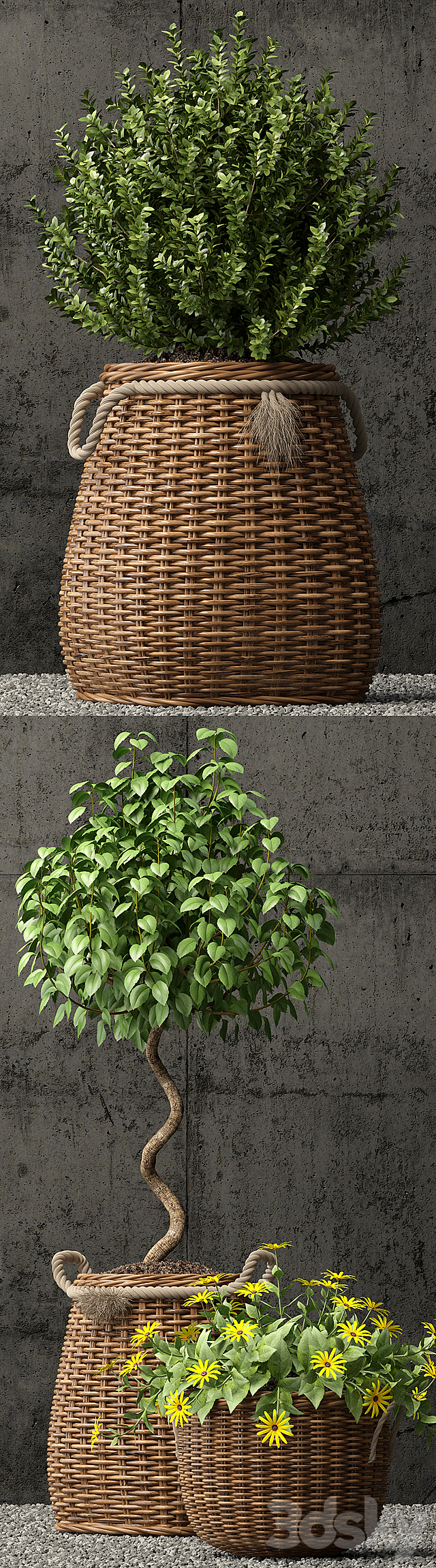 Plants collection 65 3DSMax File - thumbnail 2