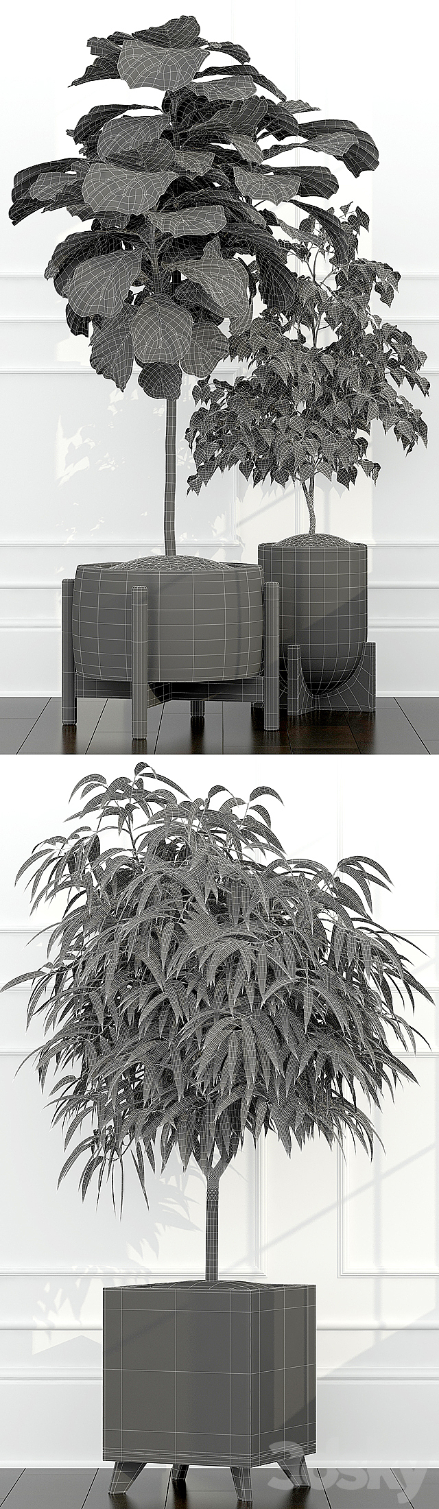 Plants collection 67 3DS Max Model - thumbnail 3